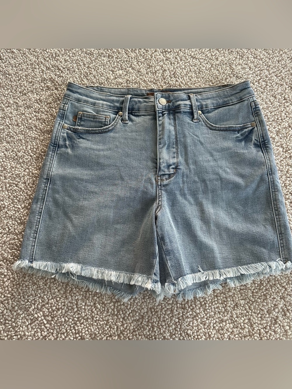Judy Blue Light Wash High Rise Distressed Frayed Denim Shorts XL